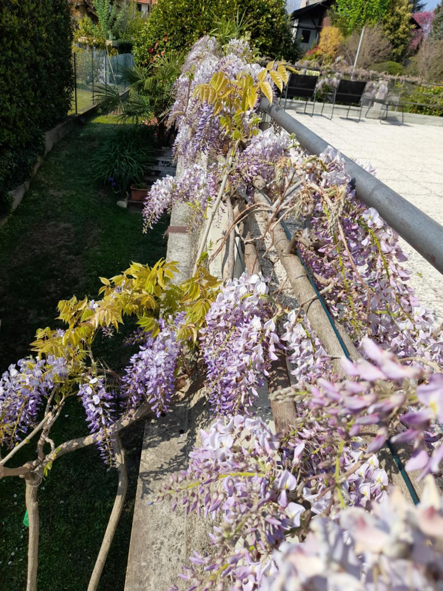 Casa Germana Apartment Invorio Inferiore Ngoại thất bức ảnh